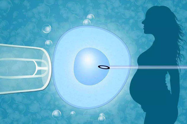 3天的7细胞鲜胚质量达到什么等级可以移植成功