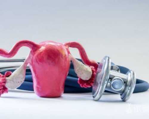 国内供卵要多少费用,2026年幼儿入园前必打的自费疫苗价格一览表是怎样的？