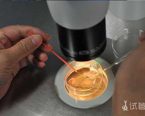 国内代怀妈妈,三胎试管*女孩费用多少，二十万够吗